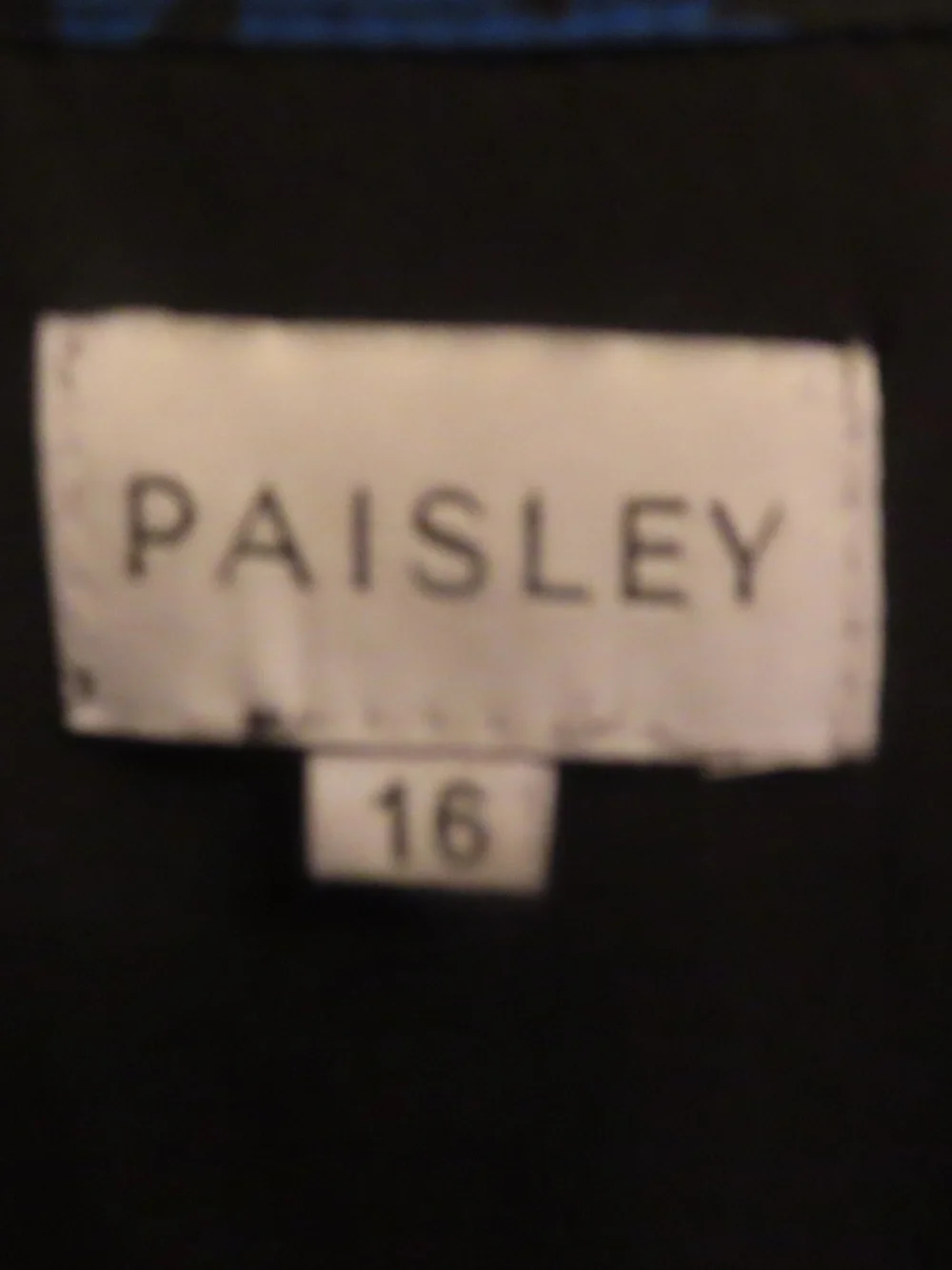 Paisley Teen Girls Size 16 Black Floral Pleated Dress with Matching Tie Belt